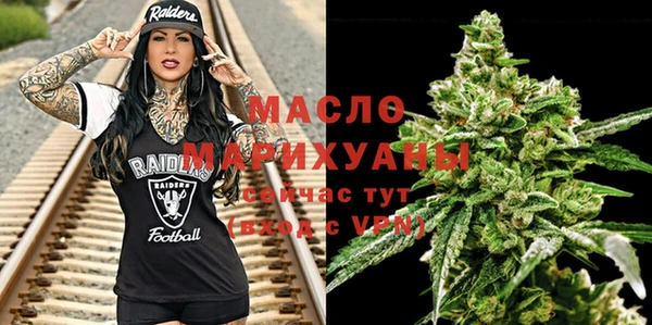 дмт Бородино