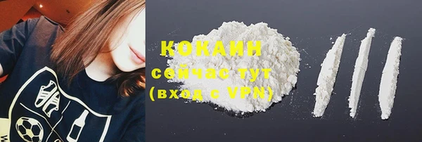 ГАЛЛЮЦИНОГЕННЫЕ ГРИБЫ Сатка