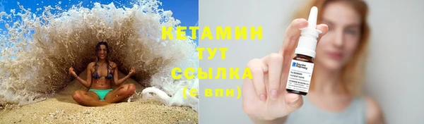 прущие грибы Верея
