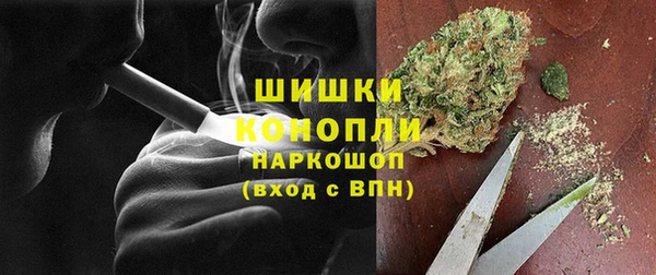 дмт Бородино