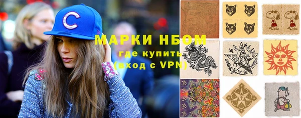 прущие грибы Верея