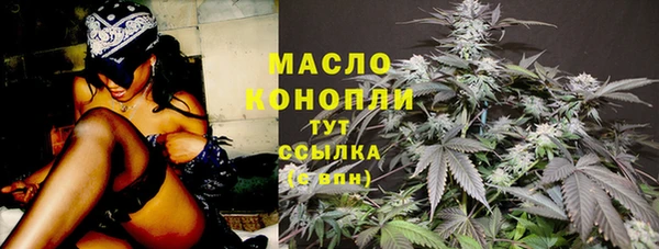 дмт Бородино