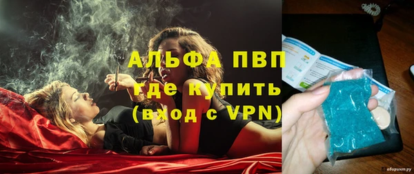 прущие грибы Верея