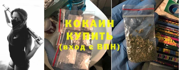 дмт Бородино